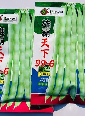 雄霸天下99-6架豆种子早熟嫩荚白绿色春秋播菜豆种籽无纤维蔬菜籽