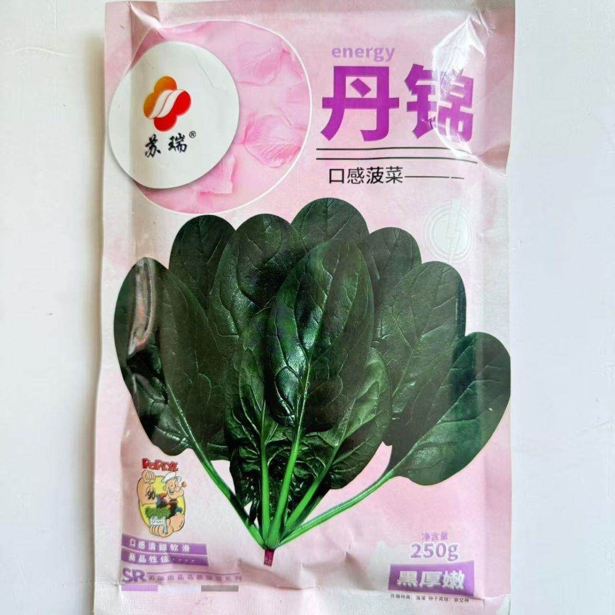 苏瑞丹锦菠菜种子250克
