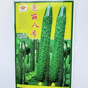 亮丽八号黄瓜种子抗病耐热亮绿黄瓜种籽瓜把短刺密青瓜种子春秋种