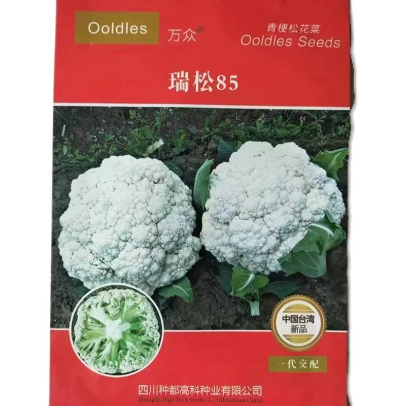 台湾引进万XVT众松85松花菜种子高品瑞青质梗椰菜基花地选育高产