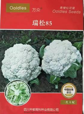 台湾引进万XVT众松85松花菜种子高品瑞青质梗椰菜基花地选育高产