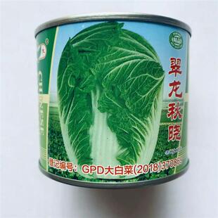 中茂翠龙秋晓大白菜种子中熟短圆筒型结球白菜种籽冬储白菜秋季播