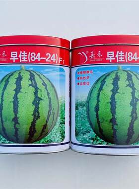 嘉禾早佳8424西瓜种子早熟抗病耐热耐湿甜度高不倒瓢不易空心耐裂