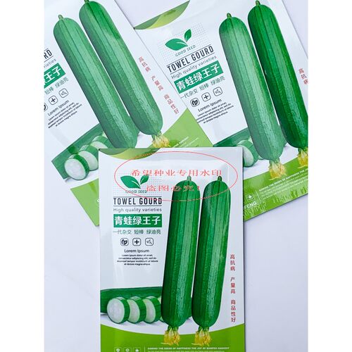 青蛙绿王子短油皮丝瓜种籽高产抗病春秋耐热盆栽油亮丝瓜种子
