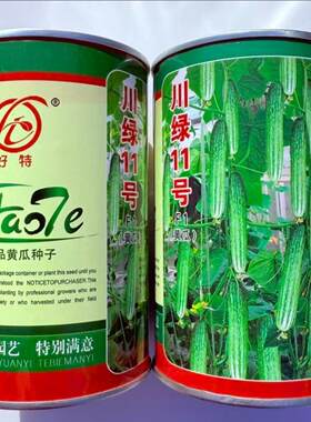 好特川绿十一号黄瓜种子早熟无苦味特高产口感脆嫩汁多香味浓50克