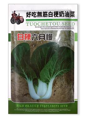 OHK白梗月慢无筋白梗青菜种子抗病抗抗湿奶白菜种子田大专用雨种