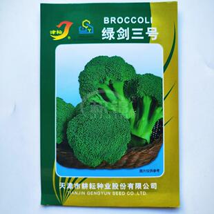 津耘绿剑三号西兰花种子中早熟花椰菜种籽绿菜花蔬菜种子秋季花菜