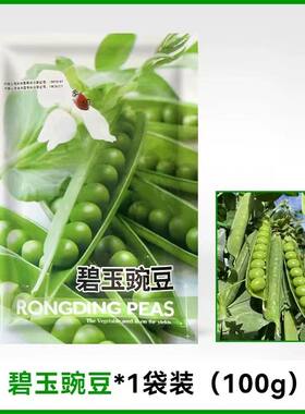碧玉豌豆种子籽甜脆碗豆高产抗病台湾长寿仁农家大田春秋冬播青豆