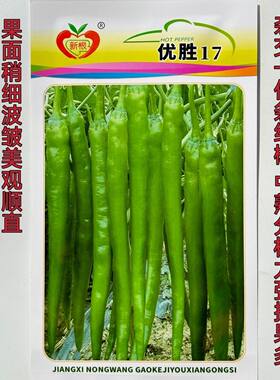 【正品】农望优胜17辣椒种子鲜食为主口感好皮薄质脆味辣长线椒种