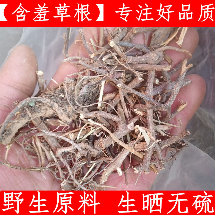 含羞草根 中药材 知羞草骨 500克 含羞草根原料生晒无硫 支持验货
