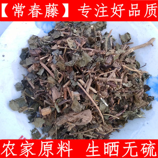 常春藤 中药材正宗三角枫 追风藤上树蜈蚣钻天风500克干净无杂质