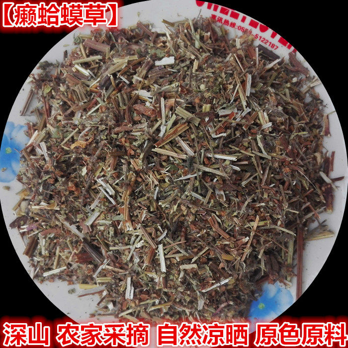 雪见草新鲜中药材
