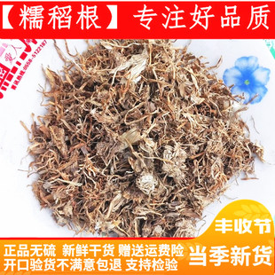 糯稻根 中药材糯稻根须 糯米500克包邮干净新货 送运费险