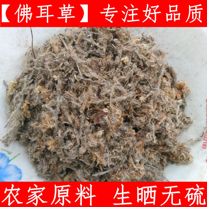 佛耳草新鲜中药材