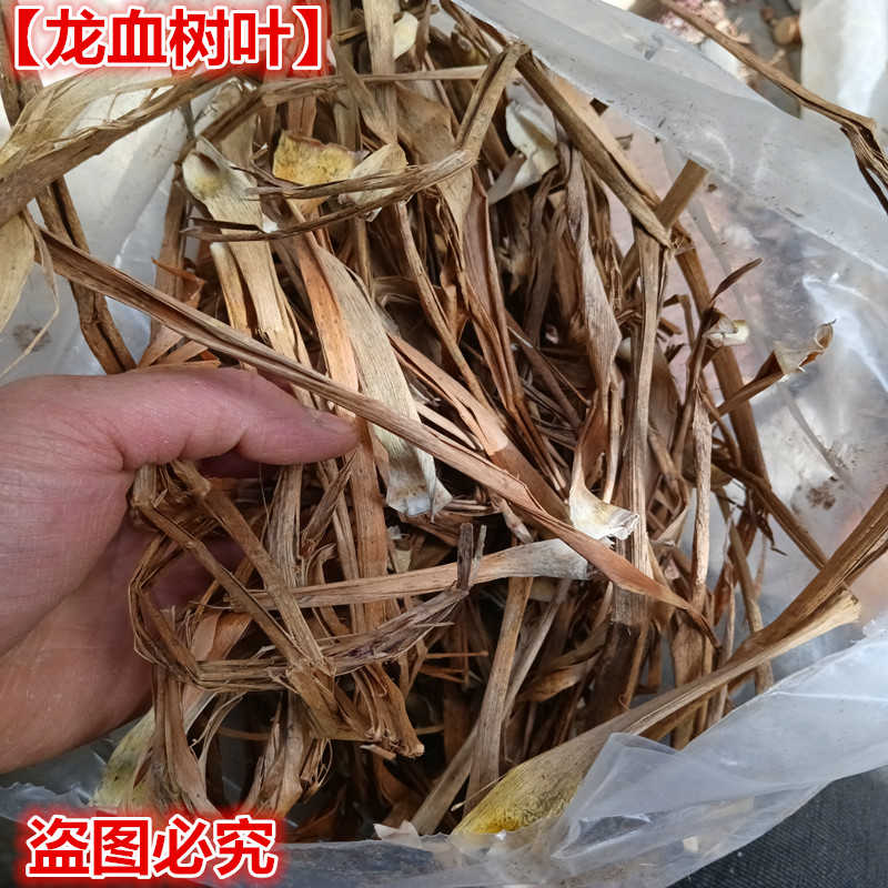 中药材龙血树叶 别名 马骡蔗树 升级兰 狭叶龙血树 不才树 竹木参