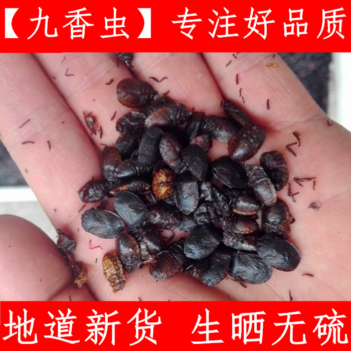 九香虫 中药材清水小生九香虫 打屁虫 500g 包邮新鲜干货支持验货