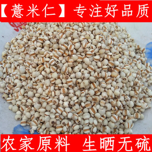 薏米仁 中药材薏米 薏苡仁 500克生晒纯无硫草珠子仁 贵州小薏米