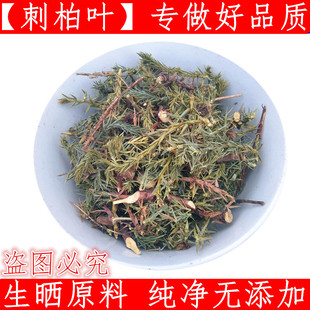 刺柏叶500g包邮克柏木树叶干货材 山杜松 刺柏短刺柏柏叶新鲜中药