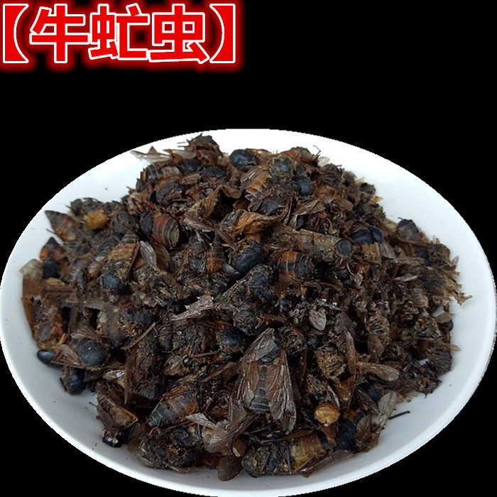 牛虻虫 中药材牛苍蝇 牛虻 牛牤虫牛氓虫牛虻虫100克新货上市无硫