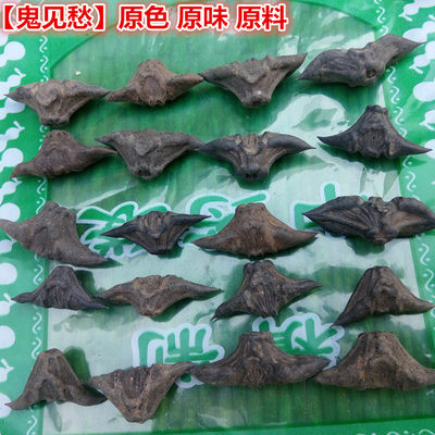 中药材菱角壳 500克 小菱角壳 鬼不缠 鬼见愁 包邮