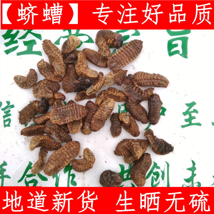 蛴螬 中药材蛴螬 土蚕老母虫核桃虫粪虫乳齐500克蛴螬 新鲜干货