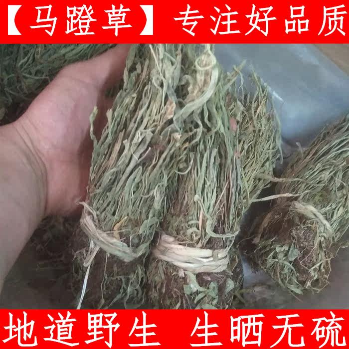 马蹬草 中药材马蹬草 过桥草 小石韦马蹬草250克免邮