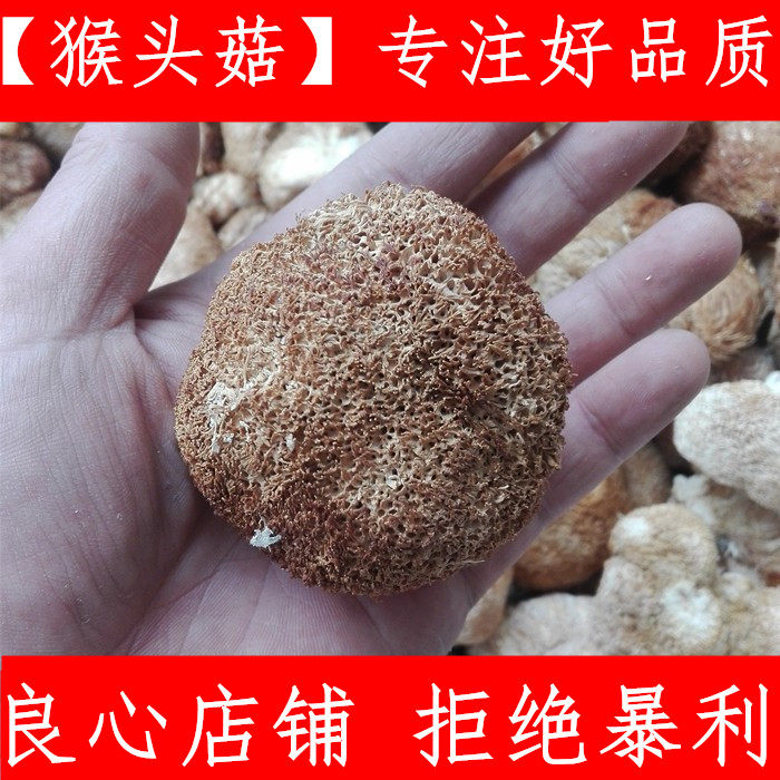 中药材新款菇 猴头菌 干货 500克70元猴头菇干货东北
