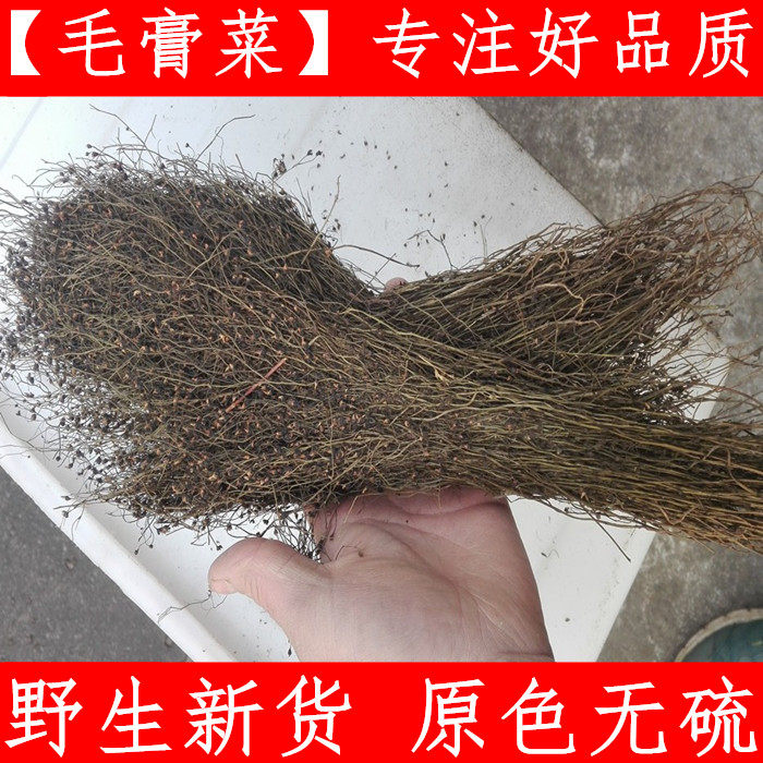 毛膏菜 250克 中药材毛蒿菜 茅膏菜 山胡椒 胡椒草珍珠草新鲜干货