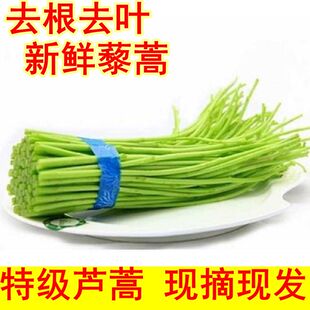 买2送1斤当季蔬菜芦蒿菜去叶净菜农家现摘篱蒿新鲜黎蒿野菜藜蒿鲜