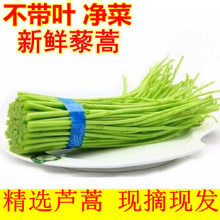 【蔬菜组合】新鲜芦蒿水芹菜去叶净菜特产农家现摘篱蒿黎蒿藜蒿泥
