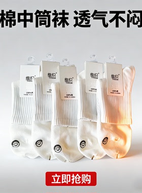 维织9812男士夏季纯棉薄款透气网面刺绣中筒袜抗菌防臭薄棉商务袜