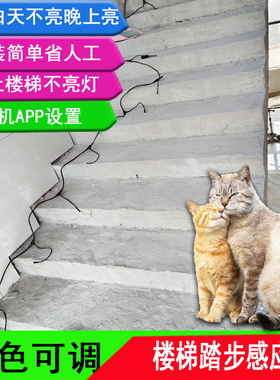 网红楼梯踏步灯自建房别墅复式楼踏步台阶 PLC三合一控制器感应灯