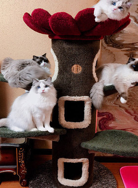 现货Camily猫爬架 太阳花猫树 猫咪城堡 猫的树 猫树猫窝定制包邮
