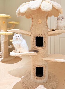 Camily太阳花猫树猫爬架