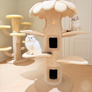 Camily太阳花猫树猫爬架