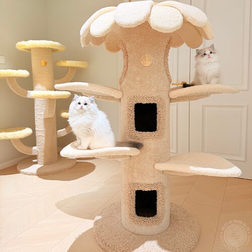 Camily太阳花猫树猫爬架