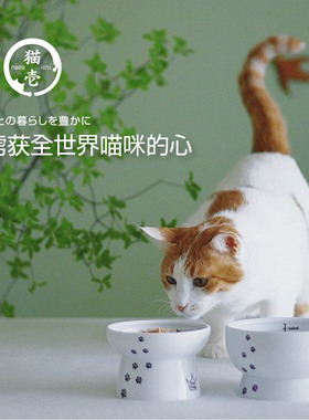 日本人气Necoichi猫壹快乐食光高脚陶瓷食碗平口碗刻度水碗易清洁