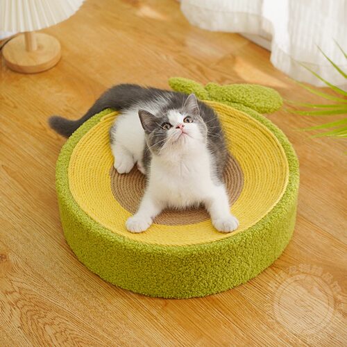 牛油果猫抓板猫窝喵仙儿