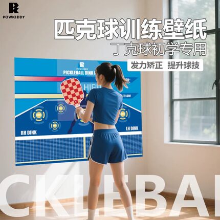 迪维斯pickleball匹克球丁克球训练专用墙纸板提升手感练习命中率