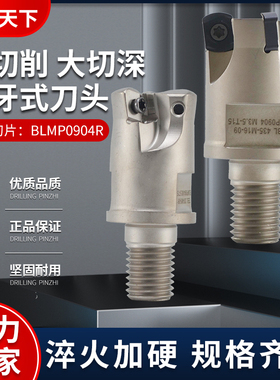 TFMBL09快进给锁牙头BLMP0904特固克双面刀片刀杆锁牙刀U头双面刀