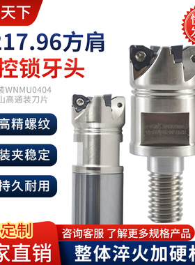 R217.96快进给立铣刀杆刀盘锁牙头装WNMU0404双面六角数控刀片YKP