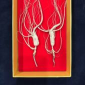 15年人参林下山参2025年正宗顺丰 整枝礼盒野山参泡酒料精品 包邮