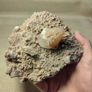 L63天然红色方解石结晶矿物晶体矿标原石观赏石摆件calcite
