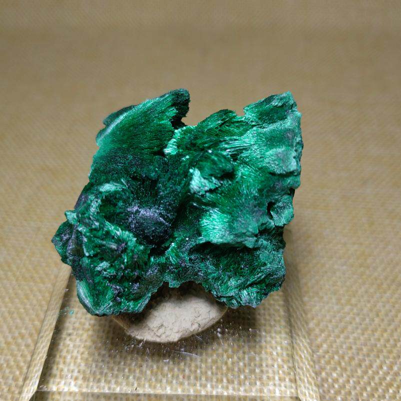 天然针状孔雀石原石 矿物晶体矿标 收藏级小猫矿N79