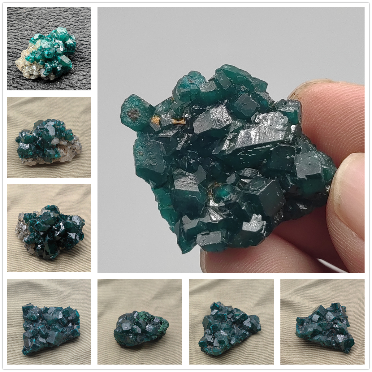 刚果翠铜矿透视石天然矿物晶体地质宝石矿石标本硅孔雀石dioptase