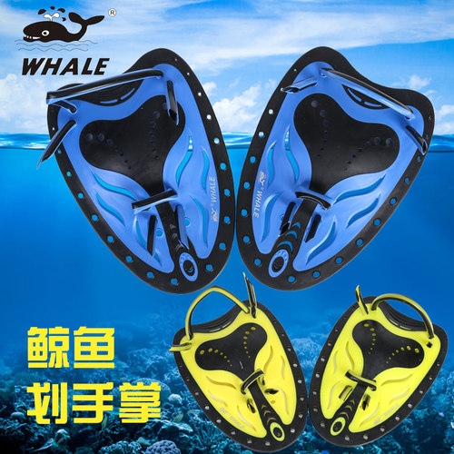 whale鲸鱼男女儿童不伤人划水掌