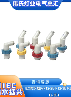 船用IEC防水插头P12-2B P12-3B P12-2B1 792751/792757 792758