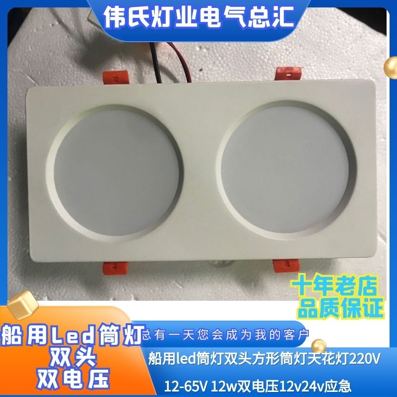 船用双头LCPD-12WLED双电压筒灯