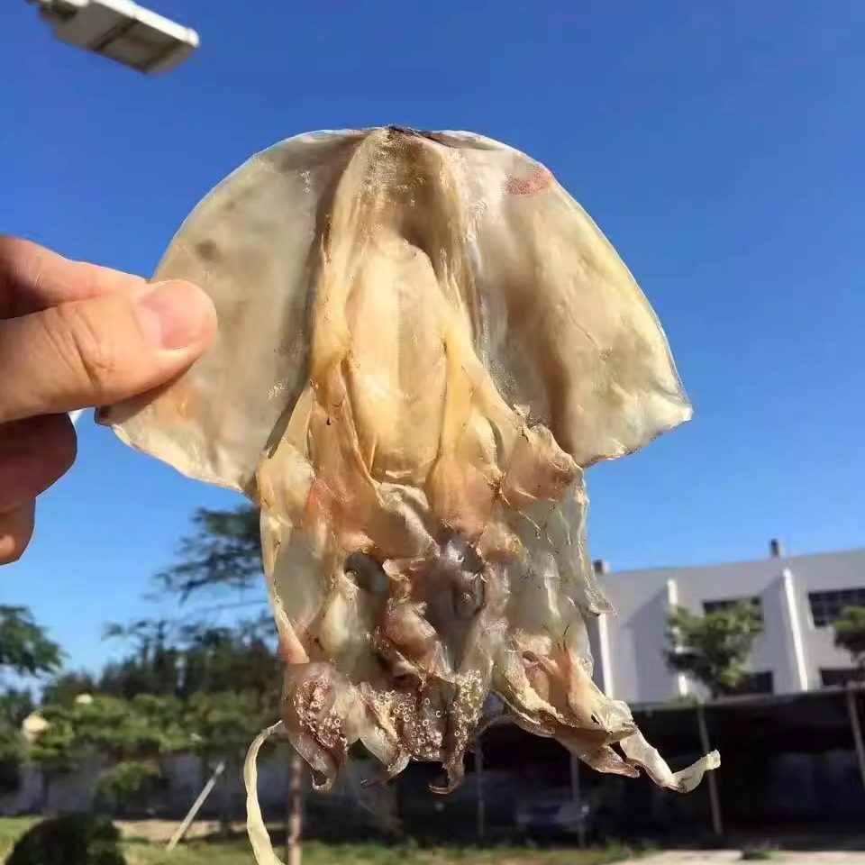 天然晾晒墨鱼干乌贼干目鱼干一斤10-13个左右冷冻保存顺丰包邮,水产肉类/新鲜蔬果/熟食,墨鱼干,淘宝优惠券,粉丝福利购,淘宝优惠卷