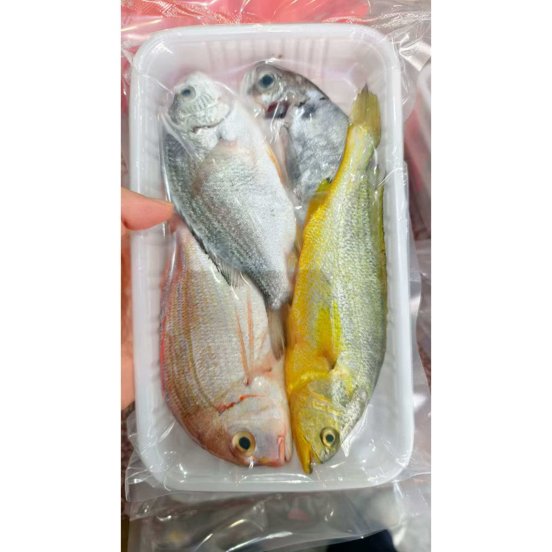 菜菜海鲜 海捕杂鱼去鳞去内脏 400克一盒